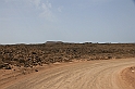 Kanary_2010 102